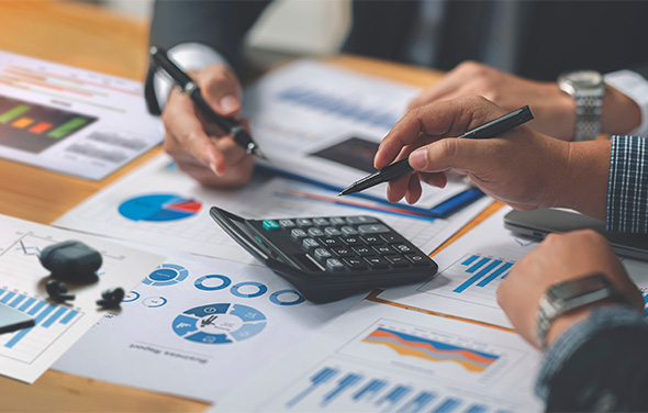 Finance Professional